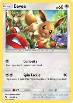 Holo Eevee 48