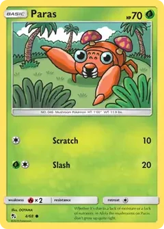 Paras 4