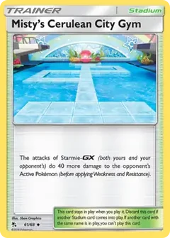 Misty's Cerulean City Gym 61