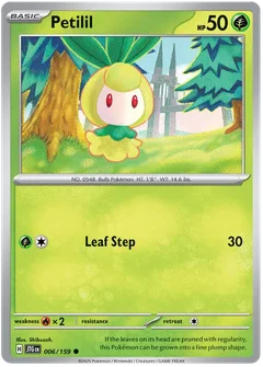 Petilil 006