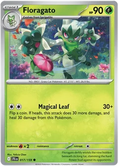 Floragato 017