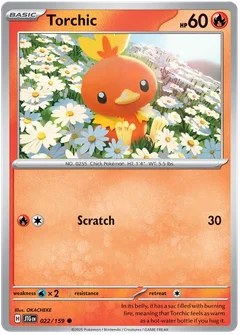 Torchic 022