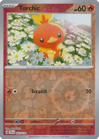 Torchic Reverse Holo
