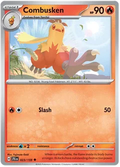 Combusken 023