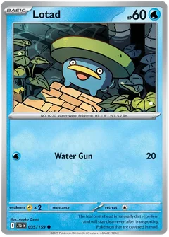 Lotad 035