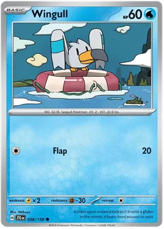 Wingull 038