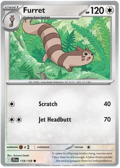 Furret 119