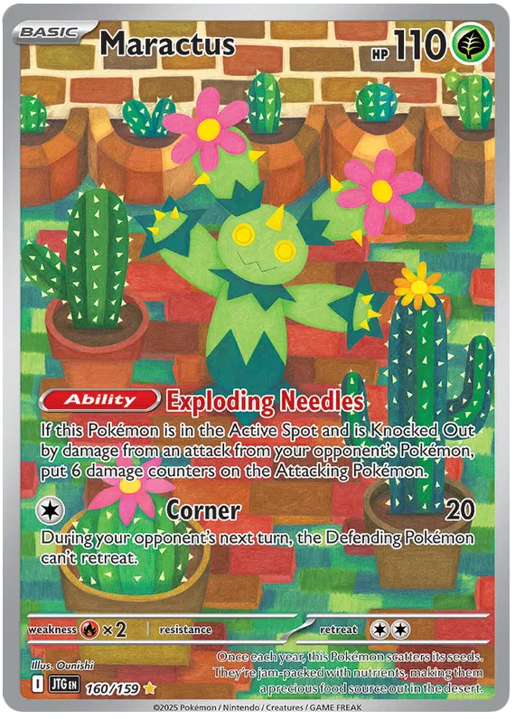 Maractus