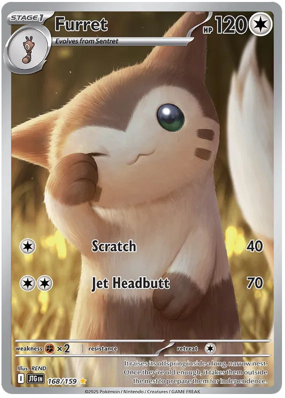 Furret