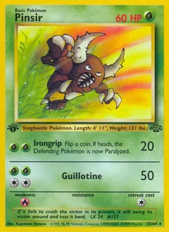 Pinsir 25