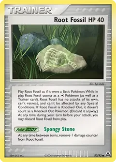 Root Fossil 80