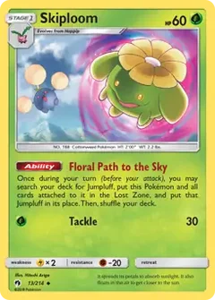 Skiploom 13