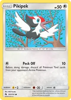 Pikipek 163