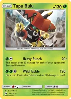 Tapu Bulu Holo 37