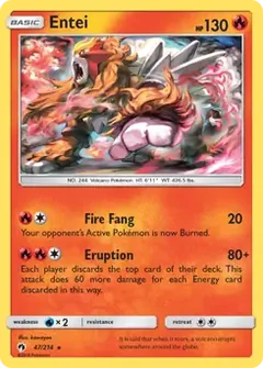 Entei 47