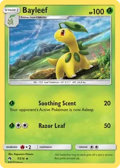 Bayleef 7