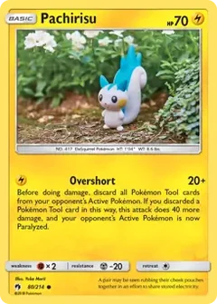 Pachirisu 80