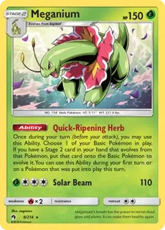 Meganium Holo 8