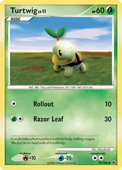 Turtwig 77