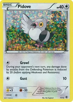 Pidove 11