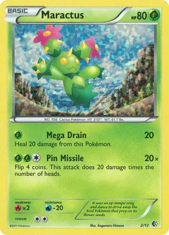 Maractus 2