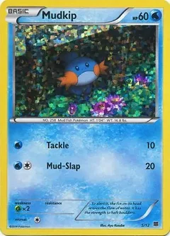 Mudkip 5