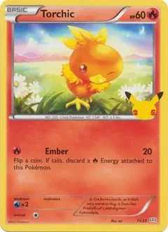 Torchic 11