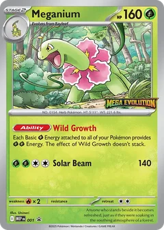Meganium 001