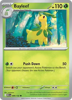 Bayleef 009