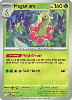 Meganium 010
