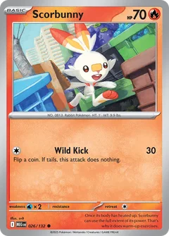 Scorbunny 026