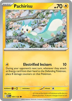 Pachirisu 051