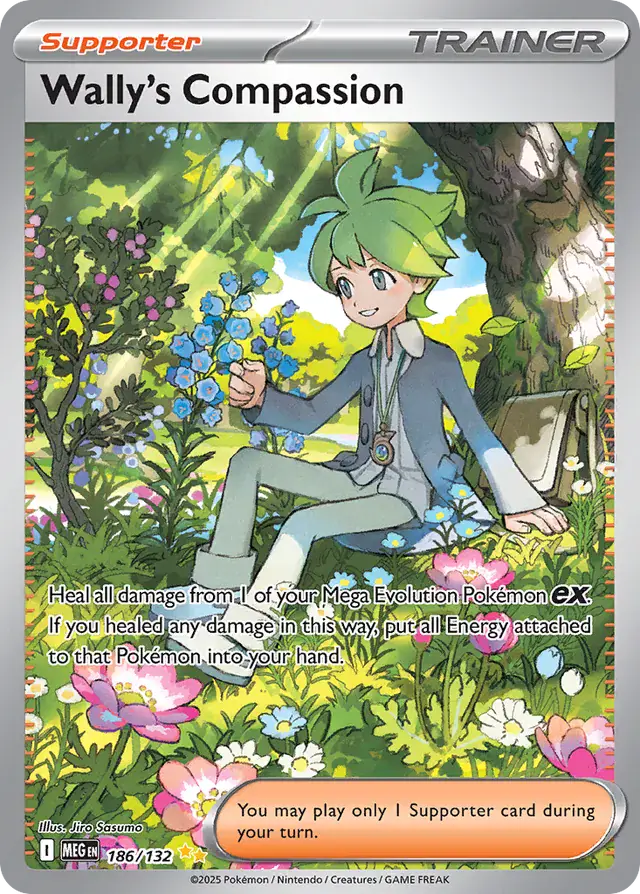 Wally's Compassion from Mega Evolution - Pokemon Card