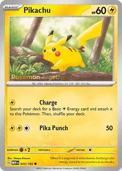 Pikachu Pokemon Together 025