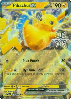 Pikachu ex Holiday Calendar 063