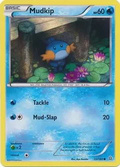 Mudkip Promo 33