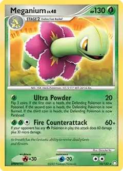 Meganium Holo 13