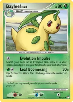 Bayleef 41