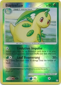 Bayleef Reverse Holo 41