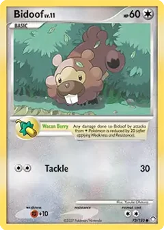 Bidoof 73