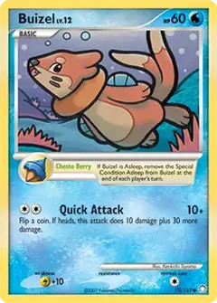 Buizel 75
