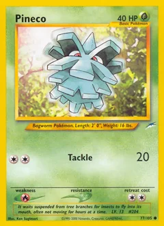 Pineco 77