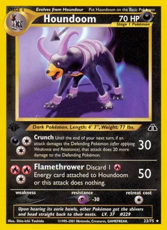Houndoom 23