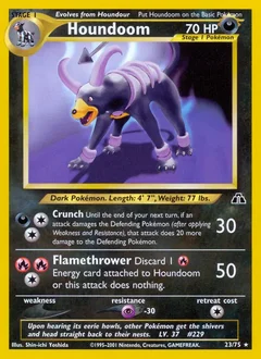 Houndoom 23
