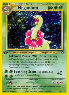 Meganium Holo 11