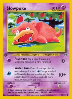 Slowpoke 73
