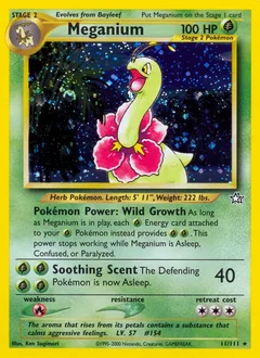 Meganium Holo 11