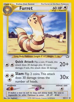 Furret 35