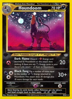 Houndoom Holo 8
