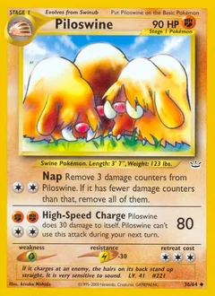 Piloswine 36